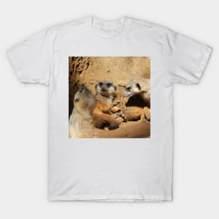 Meerkat 002 T-Shirt